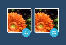 Why is having Images at 300 DPI so Important?