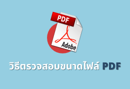 วิธีตรวจสอบขนาดไฟล์ PDF